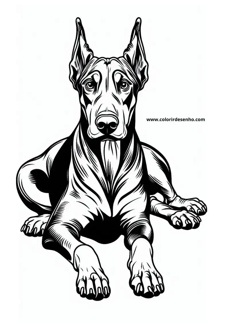dog and puppy doberman pinscher sitting upright alert expression ears perked up front paws