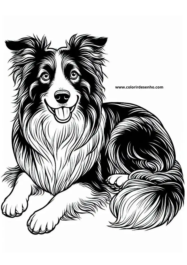 dog and puppy lying down smiling fluffy tail curled around body