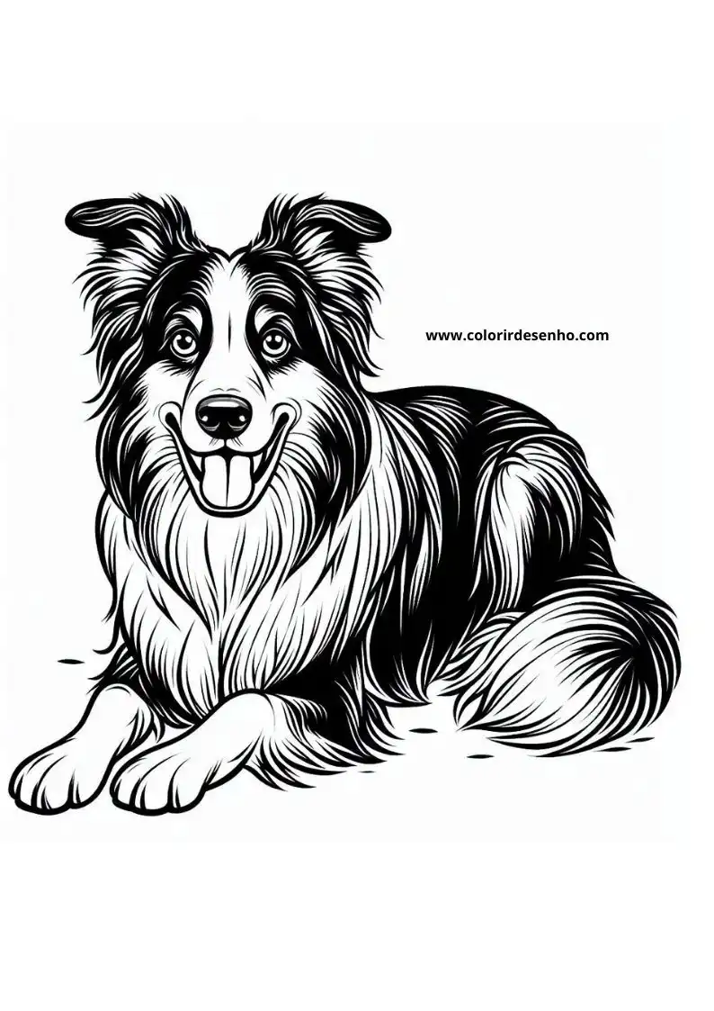 dog and puppy lying down tongue out smiling fluffy fur relaxed pose clear background