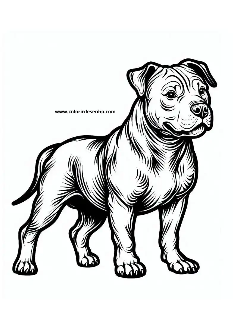 dog and puppy standing upright alert expression small tail curled around body clear lines