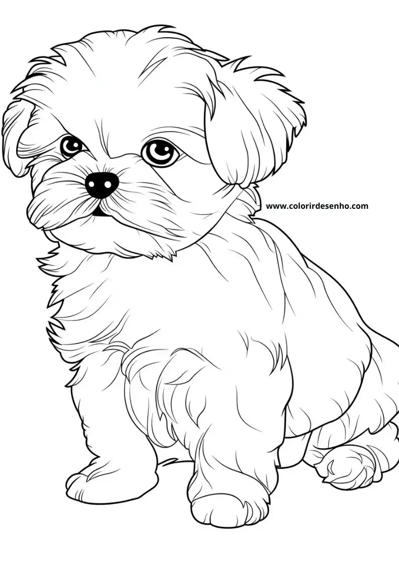 dog and puppy standing upright looking alert soft fur texture visible