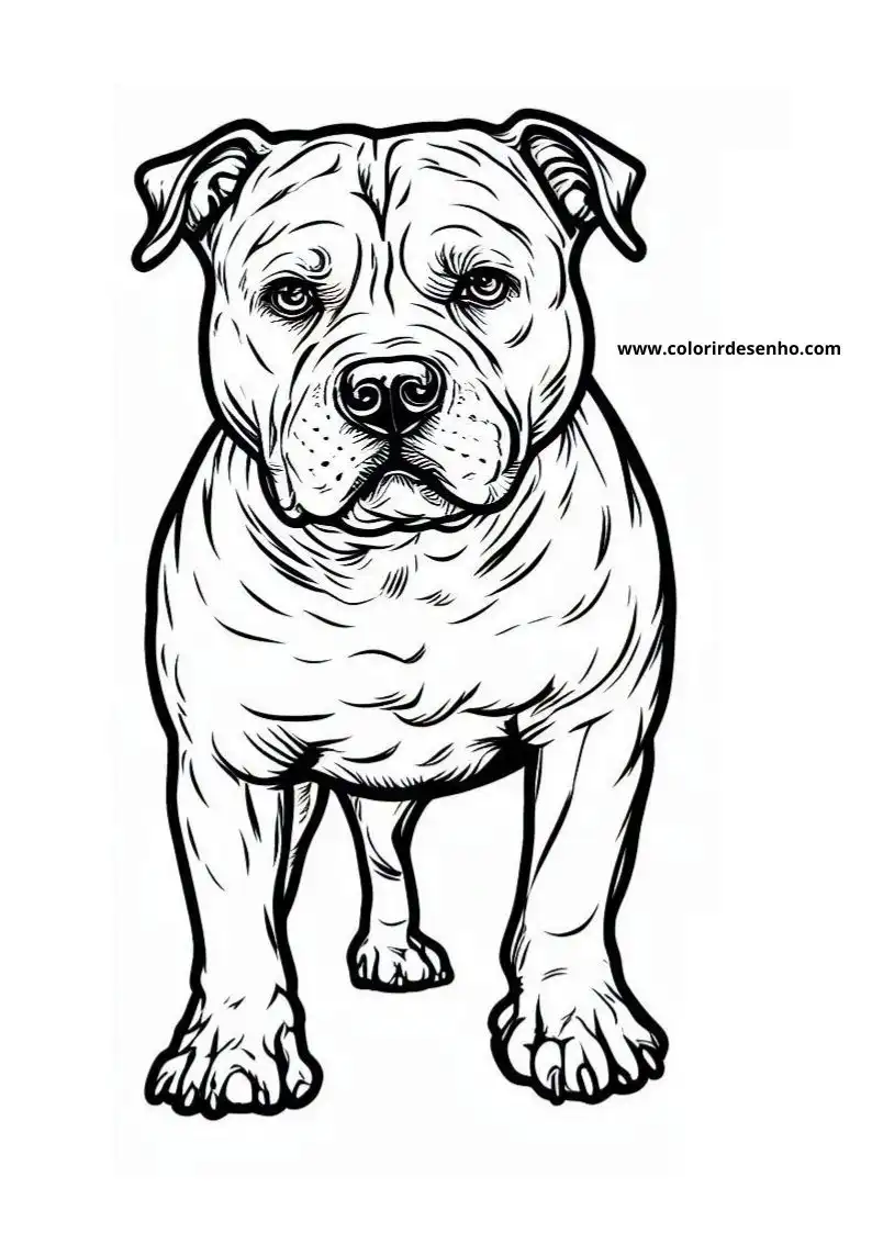 dog and puppy standing upright looking alert wearing no clothes in a simple setting