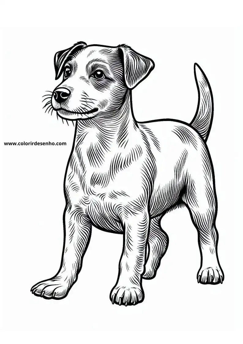 dog and puppy standing upright looking to the side wearing a collar