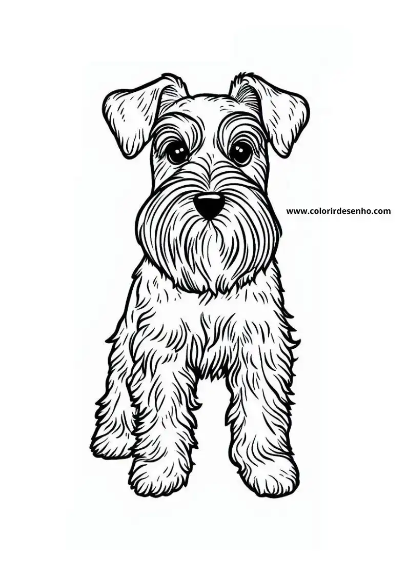 dog and puppy standing upright wearing collar