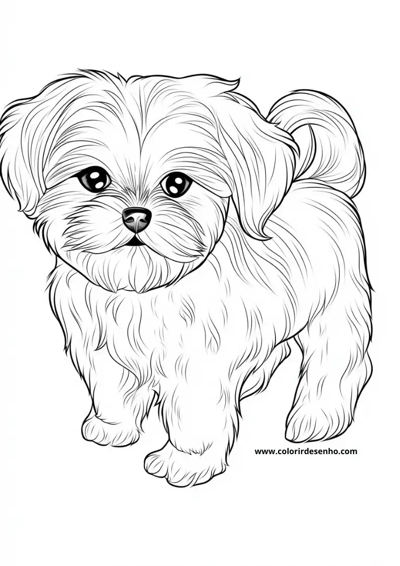 dog and puppy standing upright with fluffy tail curled up