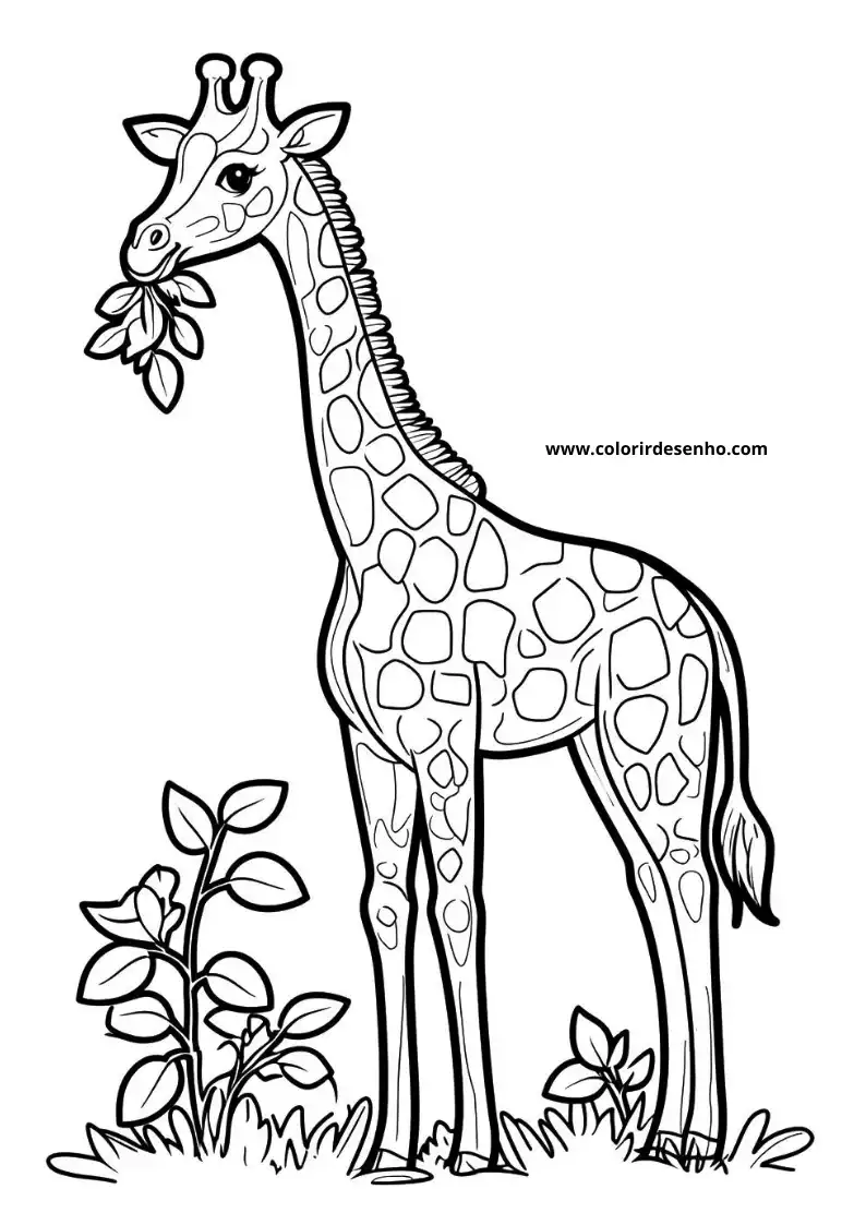 giraffe eating leaves from a bush in a grassy area