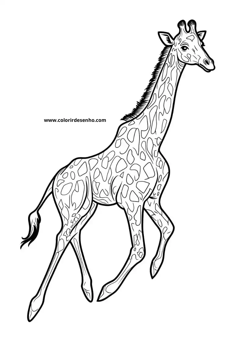 giraffe running with long neck and spotted coat