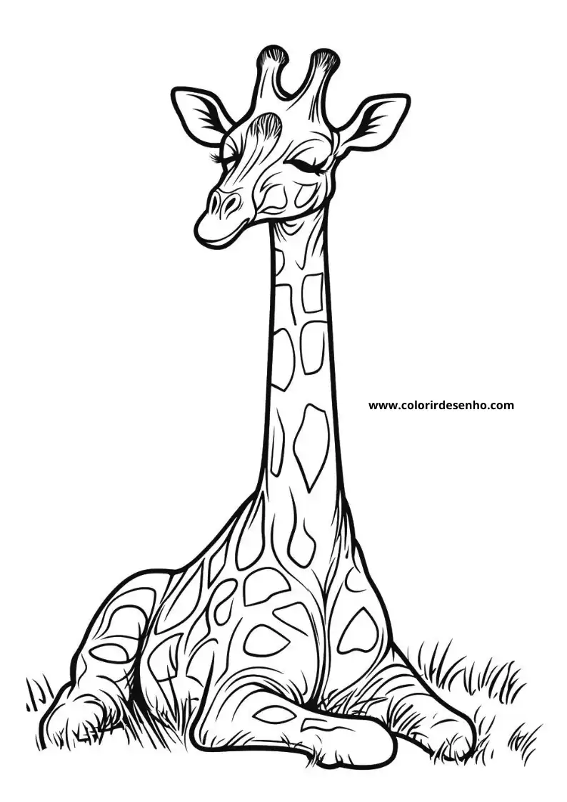 giraffe sitting on grass looking to side