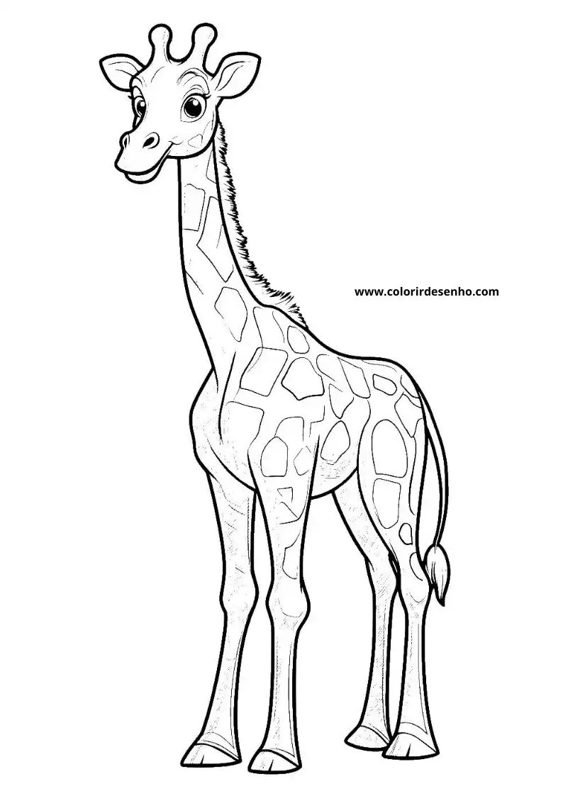 giraffe standing tall in a clear pose facing left