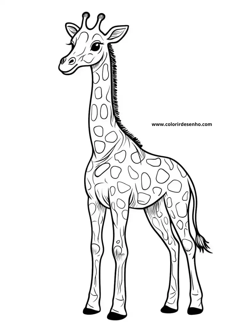 giraffe standing tall in a plain setting