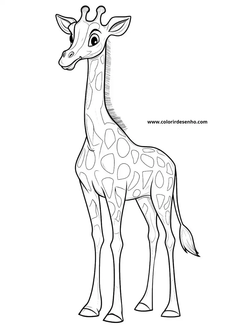 giraffe standing tall in a simple style on a white background