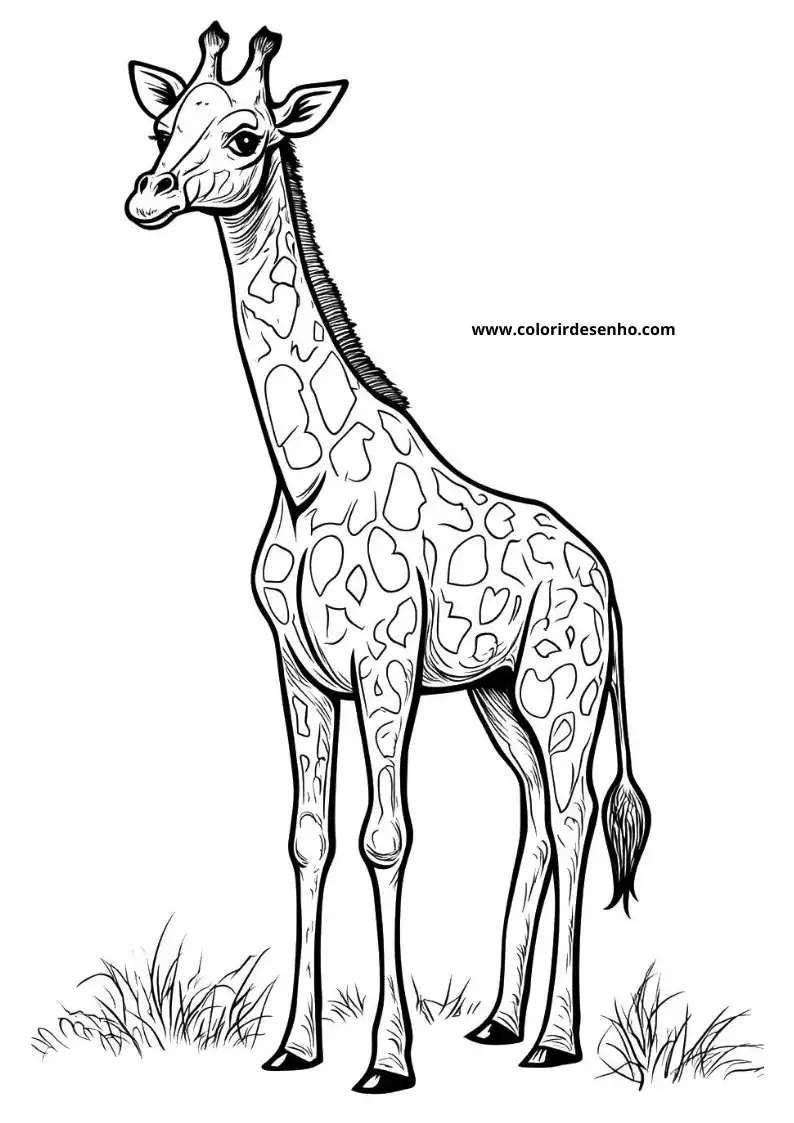 giraffe standing tall in grassy field with long neck and heart shaped spots