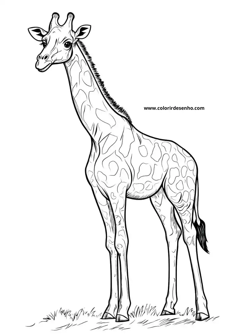 giraffe standing tall in grassy field