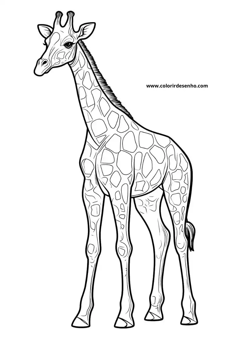 giraffe standing tall with long neck and spotted body against plain backdrop