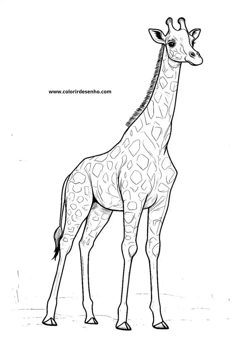 giraffe standing tall with long neck and spotted body against simple background