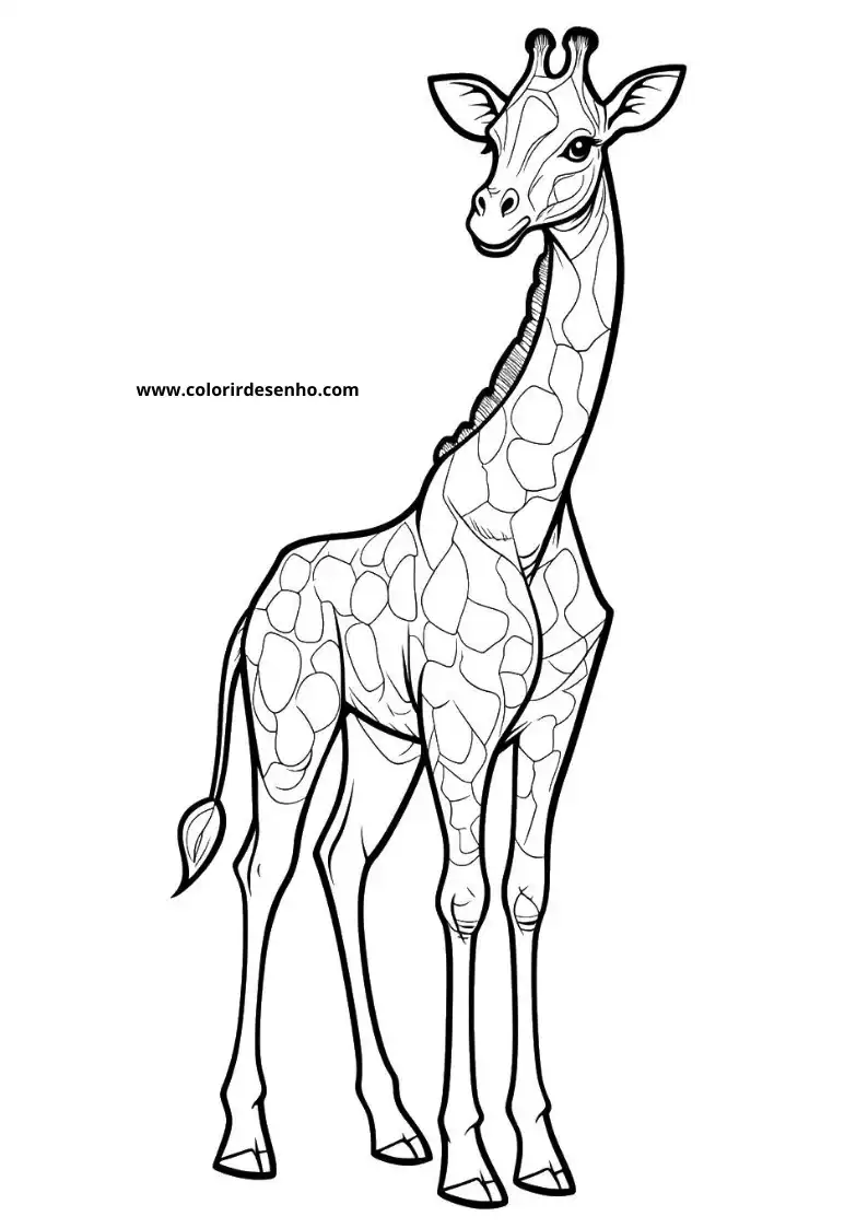 giraffe standing tall with long neck and spotted coat small horns tail and no