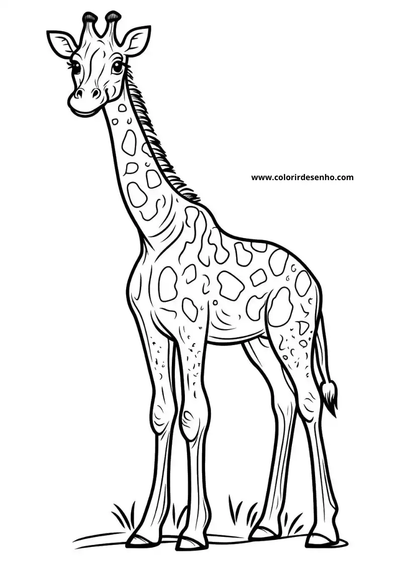 giraffe standing tall with long neck spotted coat small horns friendly look no clothing