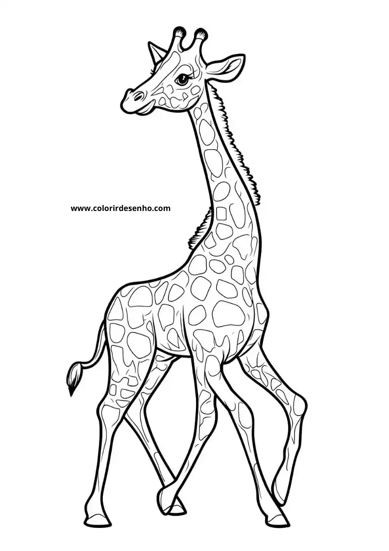 giraffe standing tall with long neck spotted coat small horns tail tip visible no