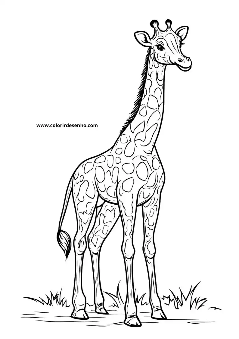 giraffe standing tall with patterned fur long neck small horns on head short tail