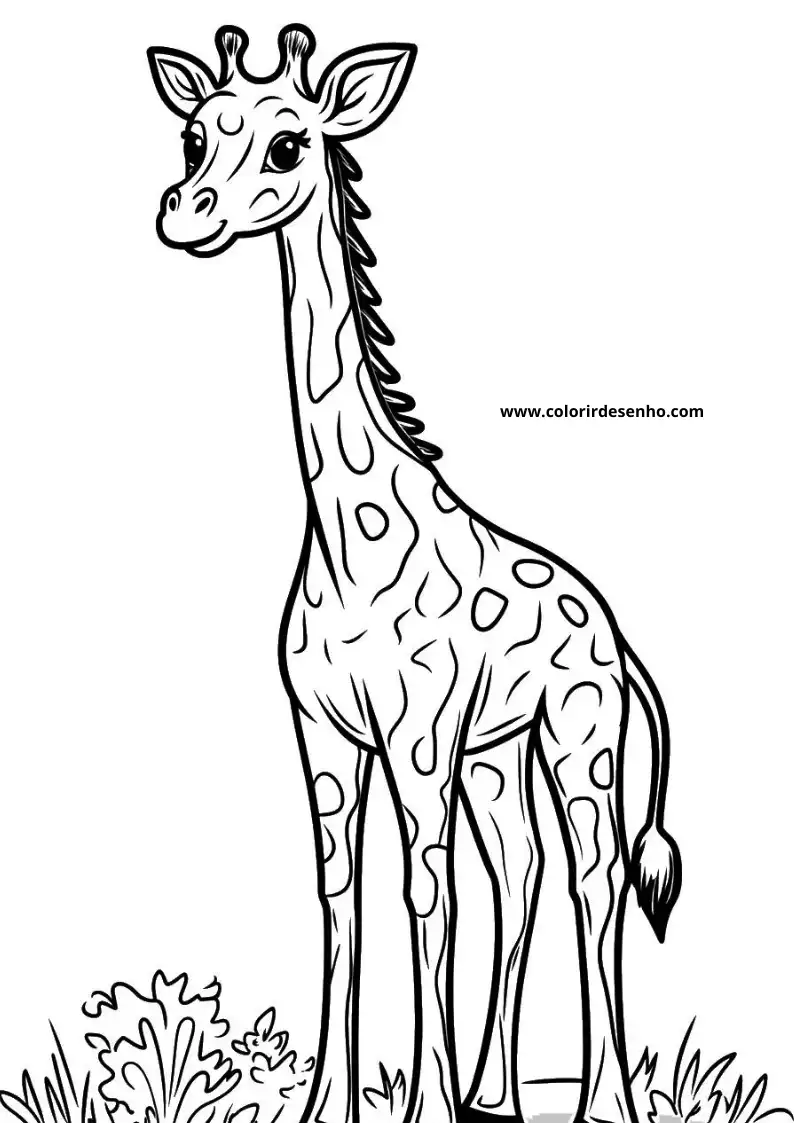 giraffe standing tall with spotted coat long neck small horns and a friendly expression