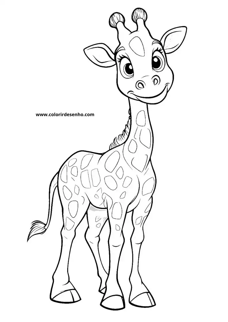 giraffe standing tall with spotted coat long neck small horns and a friendly look