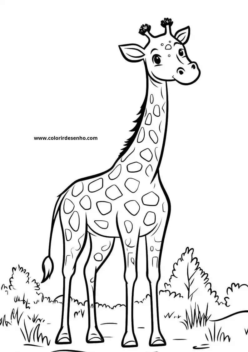 giraffe standing tall with spotted coat long neck tiny horns and a friendly expression