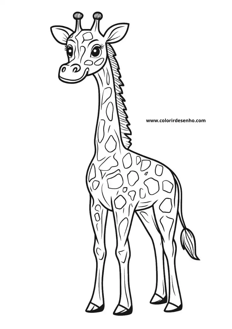 giraffe standing upright in a simple style