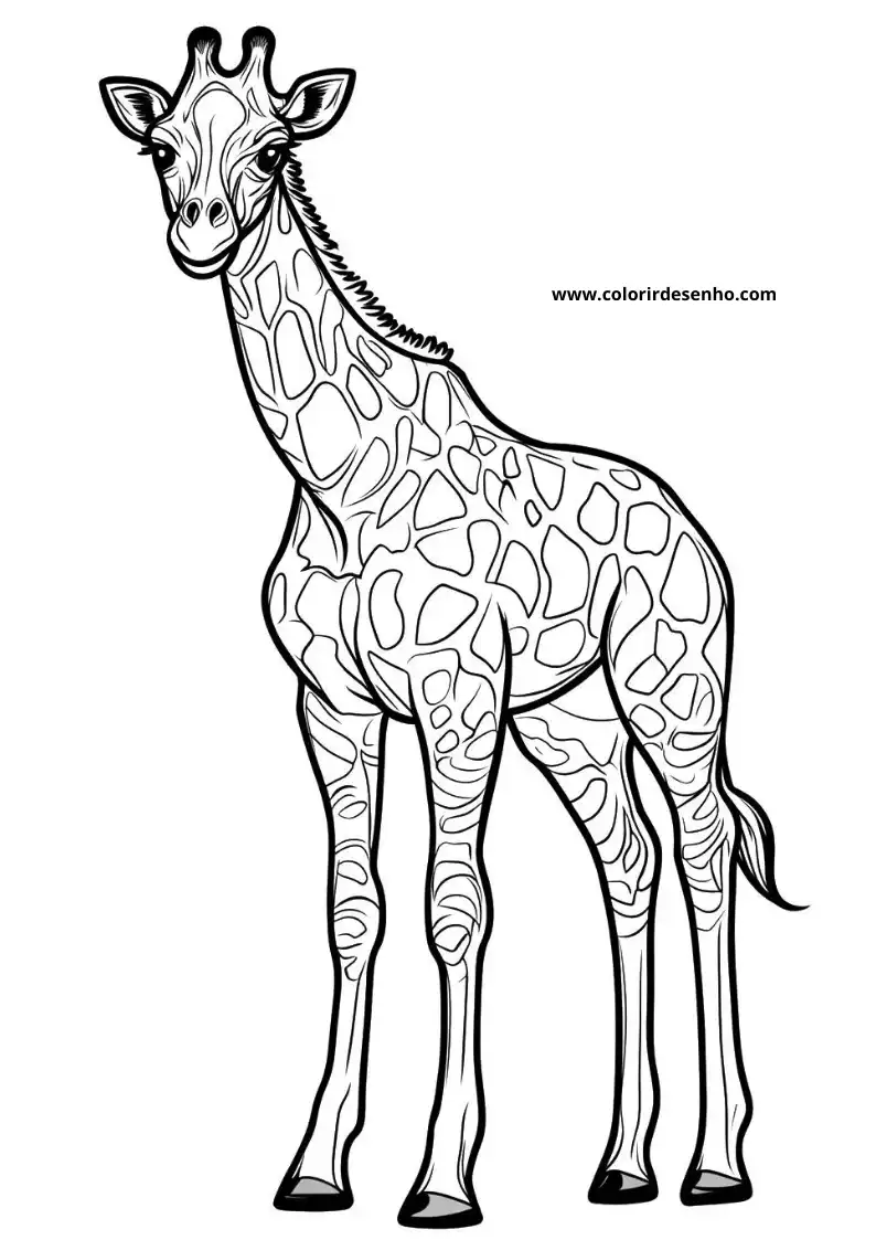giraffe standing upright with detailed patterned coat