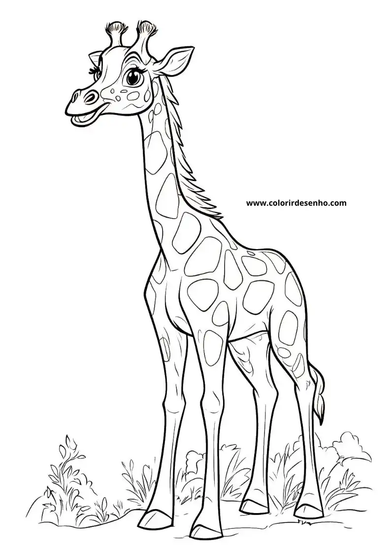 giraffe standing upright with patterned coat and small horns against plain background