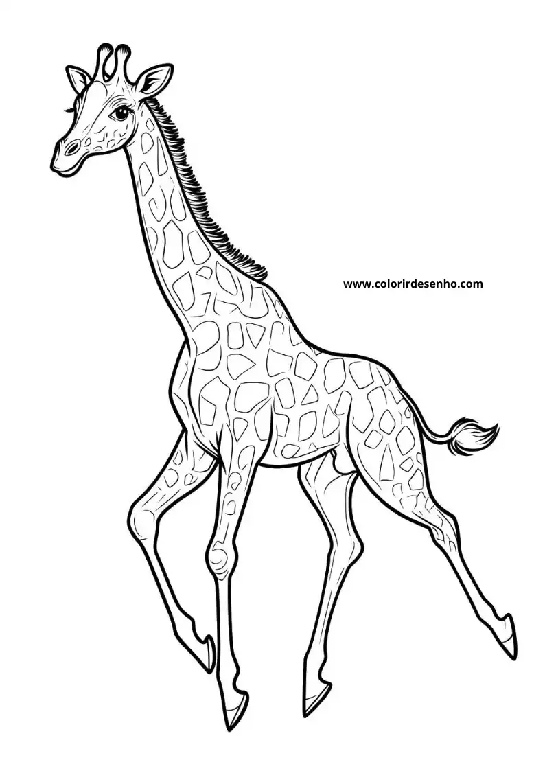 giraffe walking with long neck and spotted coat hair on back