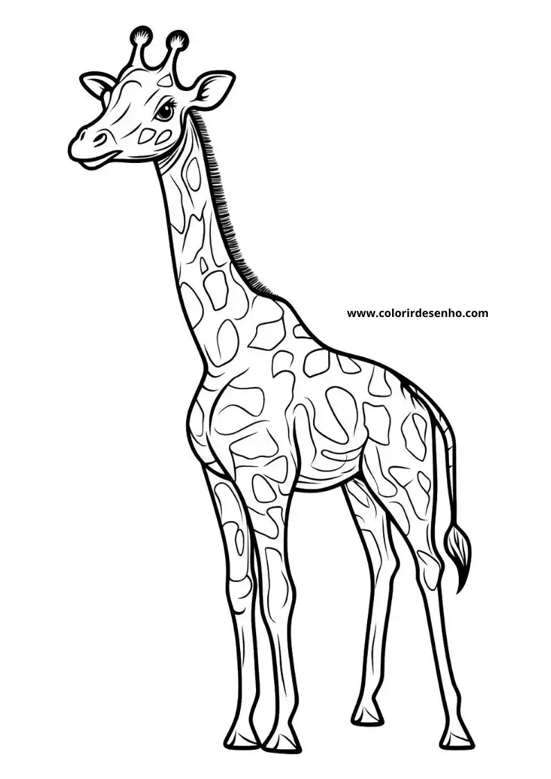 giraffe with long neck and spotted coat standing upright against plain background