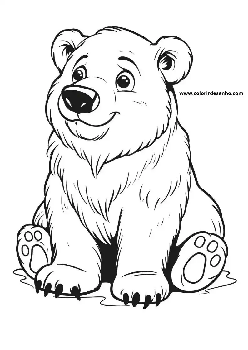 grizzly bear sitting upright with large round ears black nose big paws smiling gently