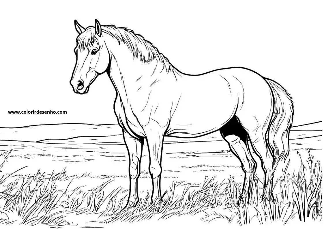 horse standing in tall grass with head turned to side