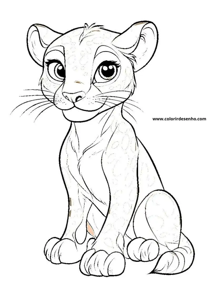 jaguar cub crouching alertly looking forward