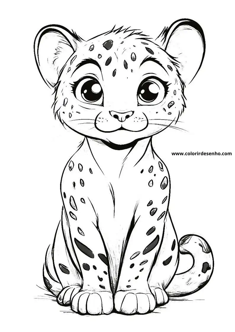 jaguar cub seated upright with big eyes and spots on body tail coiled up