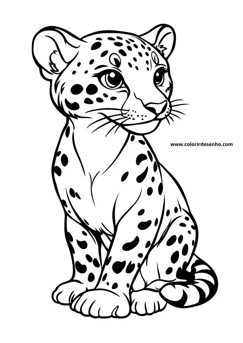 jaguar cub seated upright with large eyes and spots on body tail coiled up