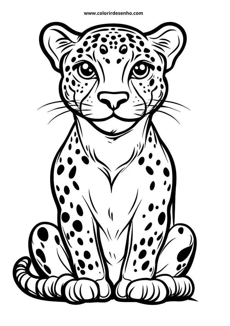 jaguar cub seated upright with large eyes and spots on body tail curled up