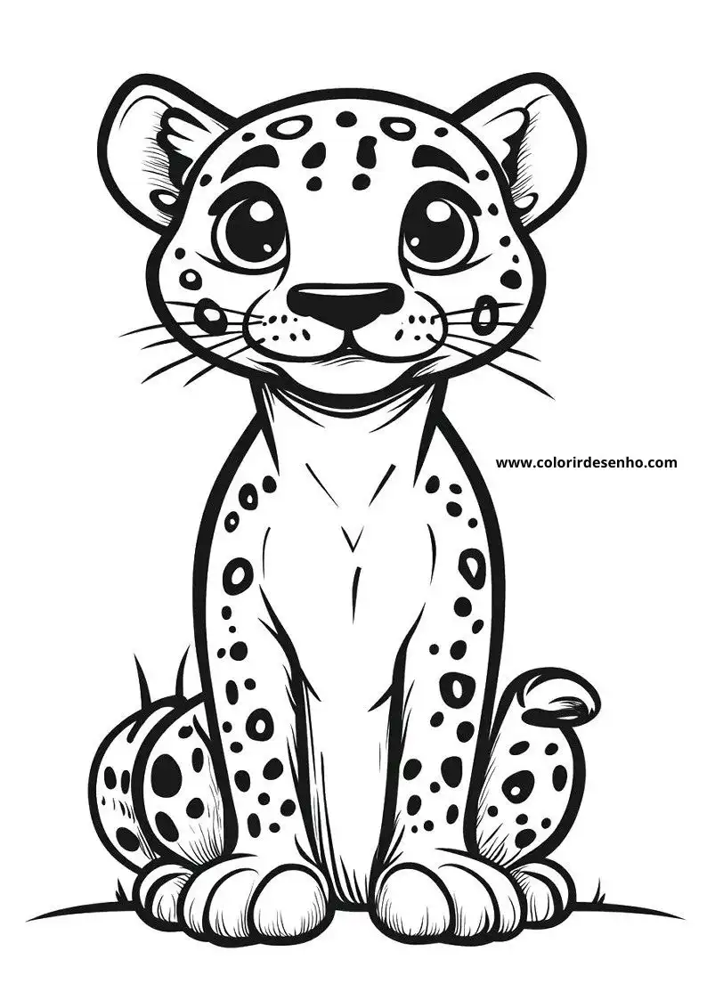 jaguar cub sitting straight on all fours gazing playful