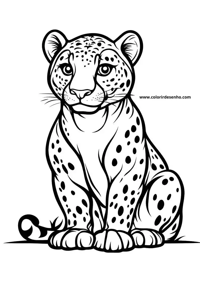 jaguar cub sitting straight on all fours gazing playfully