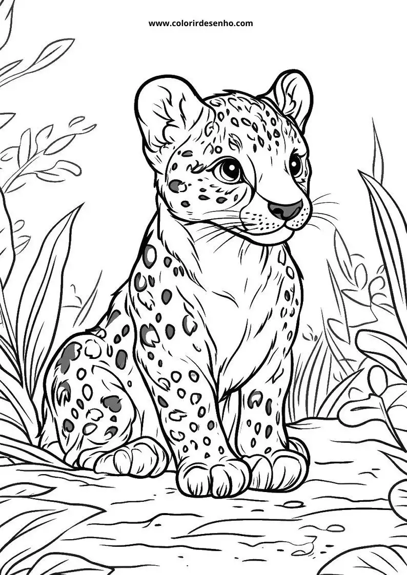 jaguar cub sitting straight on all fours with large eyes and spots on body