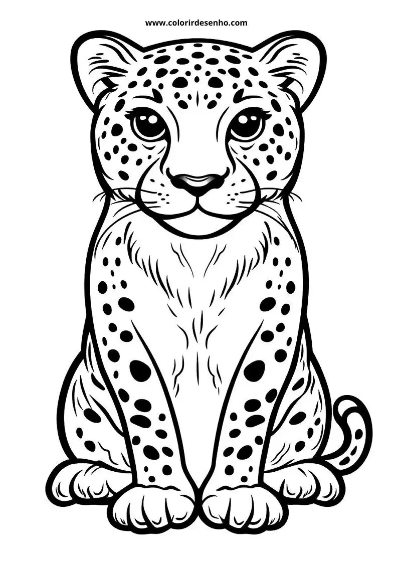 jaguar cub sitting straight with big eyes and spots on body tail coiled up