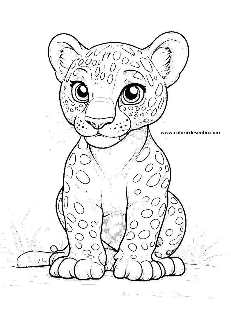 jaguar cub sitting straight with large eyes and spots on body tail curled up