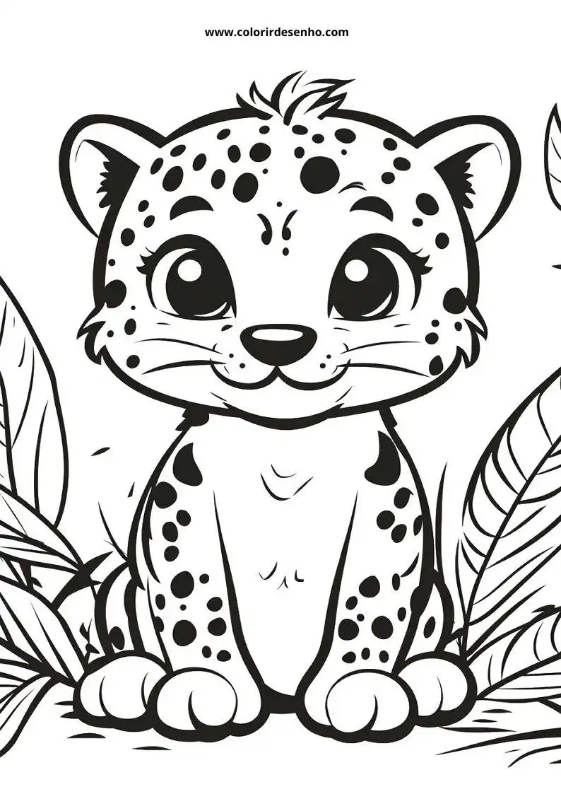 jaguar cub sitting upright on all fours looking playful jaguar has large expressive eyes