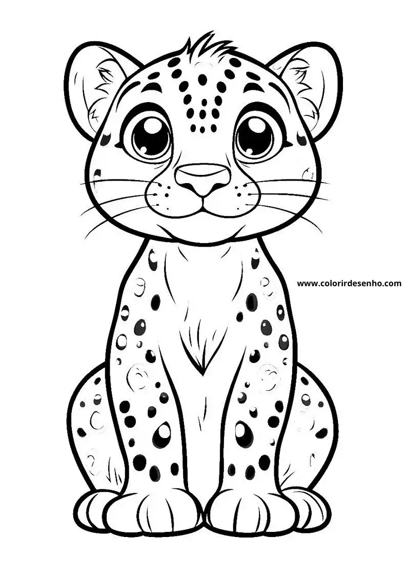 jaguar cub sitting upright on all fours with big eyes and spots on body