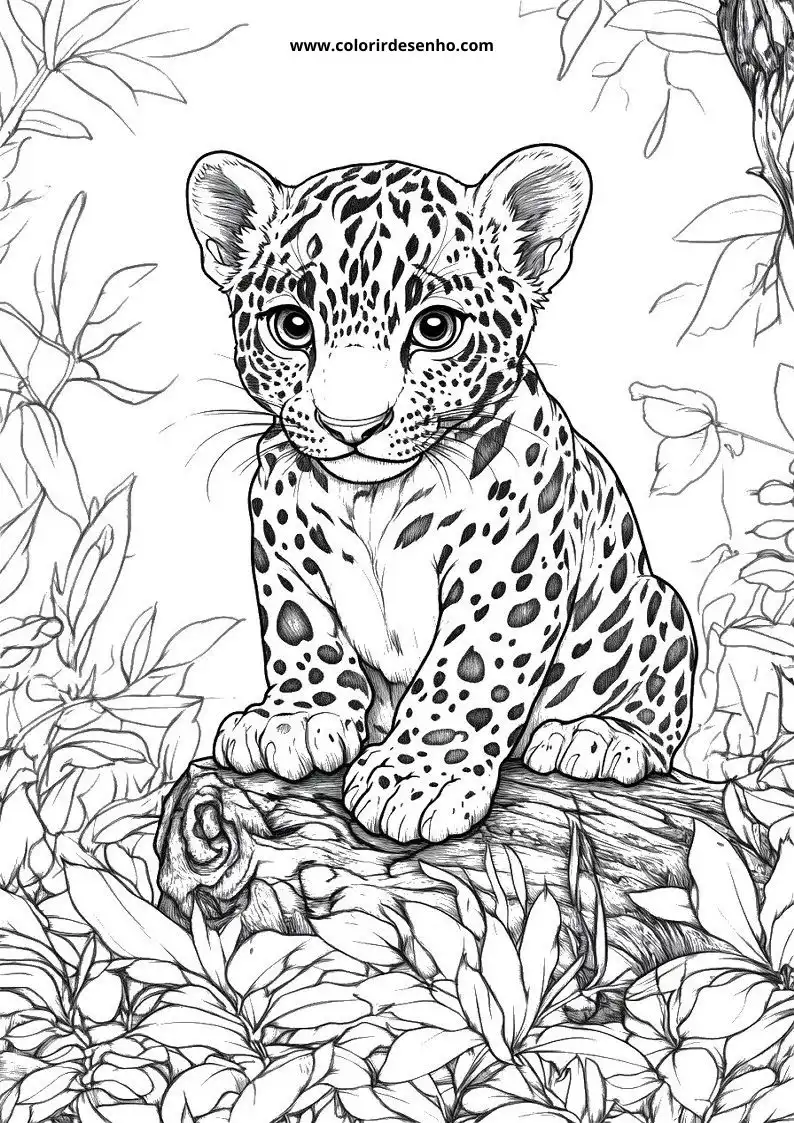 jaguar cub sitting upright on log among leaves in jungle