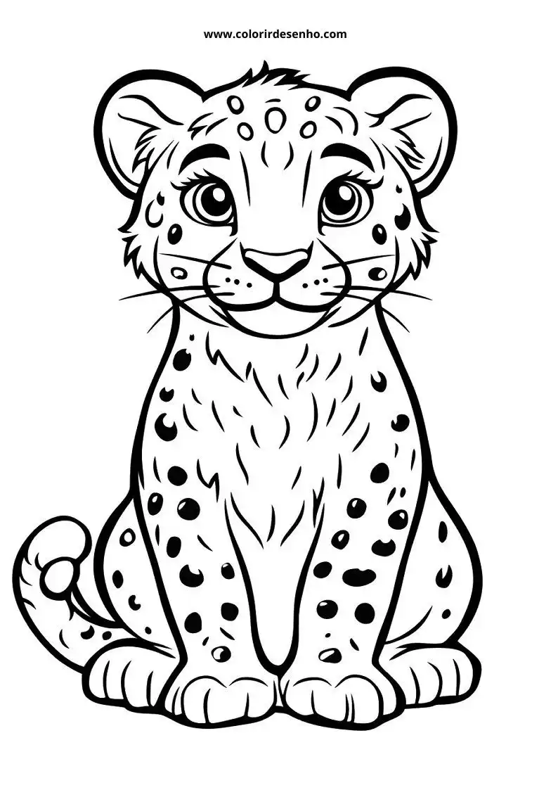 jaguar cub sitting upright with large eyes and spots looking playful