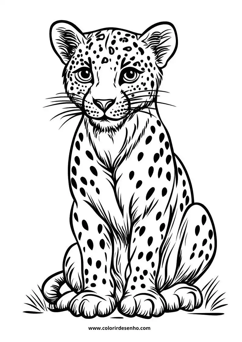 jaguar cub sitting upright with spotted fur alert expression small tufted ears long whiskers