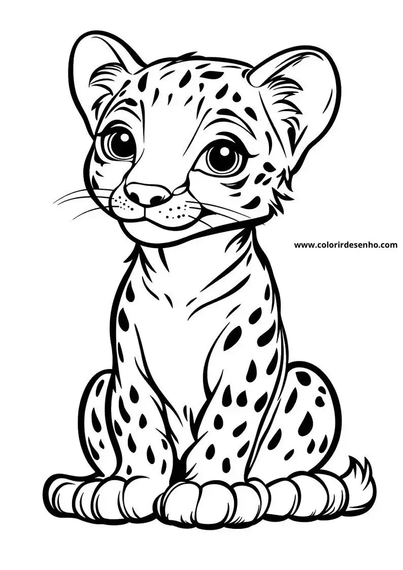 jaguar cub sitting upright with spotted fur and pointed ears