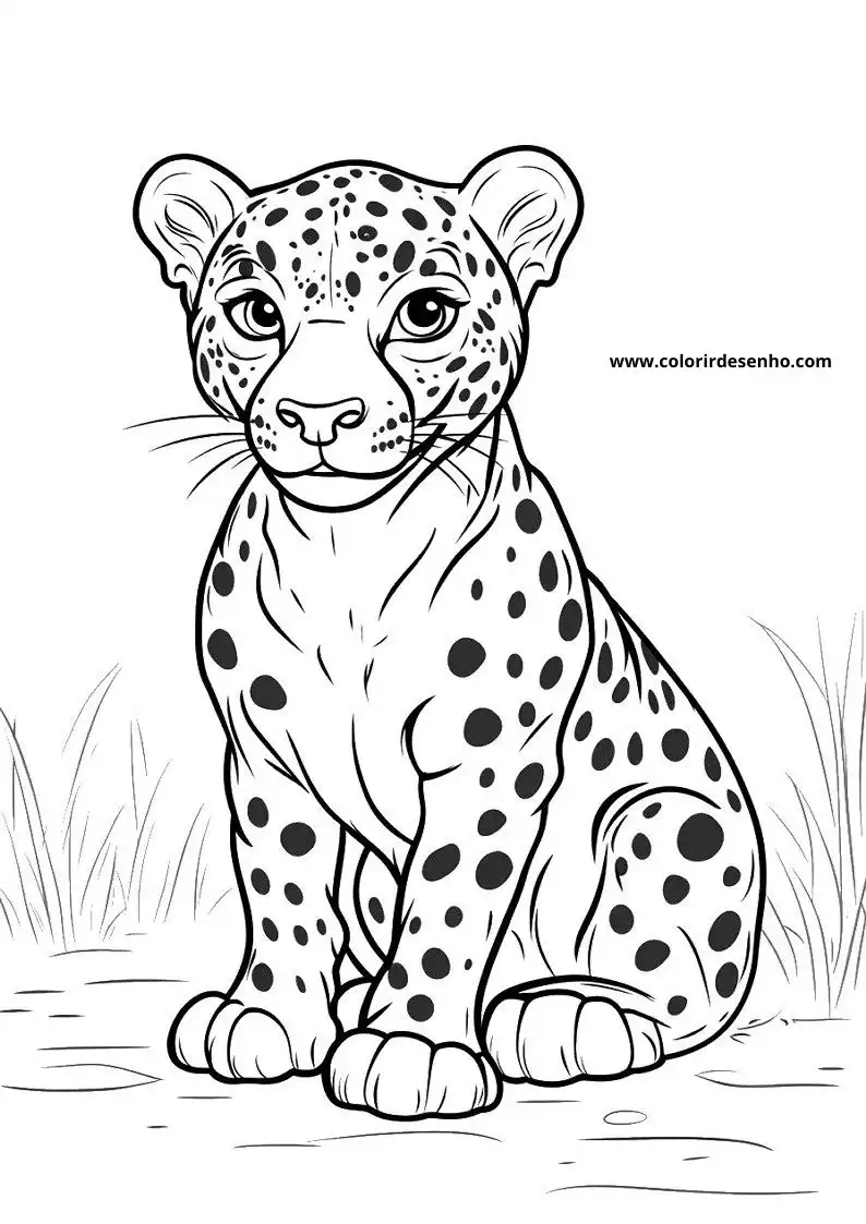 jaguar cub standing alertly on grassy ground with spotted fur looking around