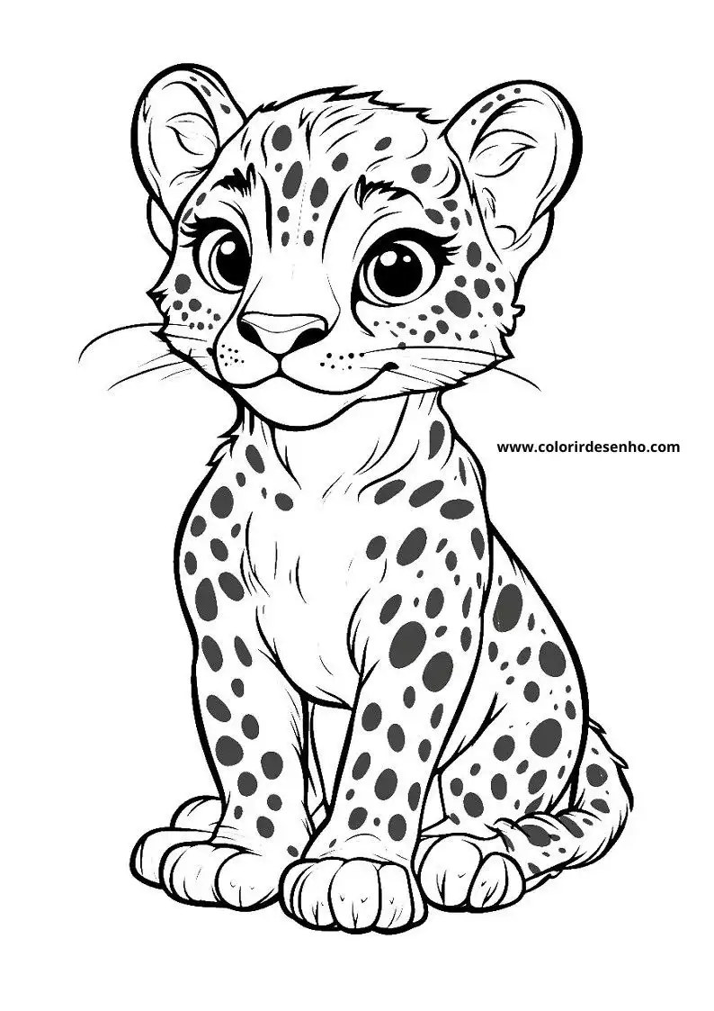 jaguar cub standing upright facing forward